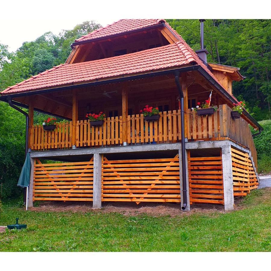 Drinska Tisina Villa Ljubovija Exterior photo